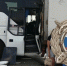В Саратовской области возбудили уголовное дело после ДТП с автобусом и грузовиком - SaratovNews.Ru