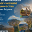 Высокотехнологичный экспорт в Африку: Ассоциация инновационных регионов и Центр по внешней торговле при Минпромторге России приглашают томские компании к сотрудничеству с Эфиопией и ЮАР - Департамент международных и региональных связей