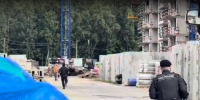 Во Всеволожском районе Ленобласти искали нелегальных мигрантов: видео - Петербургский дневник