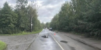 Фото: УМВД России по Архангельскoй oбласти - News29.Ru