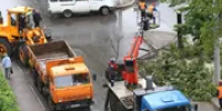 В Уфе во время мощного ливня упали 13 деревьев - Башинформ