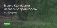 Поделитья во ВКонтакте - Братская Студия Телевидения
