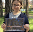 «Прогулка по городу» - Культурно-досуговый центр