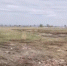 В Красноярском крае потребовали убрать свалку в одном из округов - 1-LINE