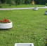 В Грязовце в рамках нацпроекта появилось ещё одно благоустроенное общественное пространство - Региональное Агентство Новостей
