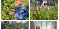 Акция «Ягодное лето» - Центр соцобслуживания