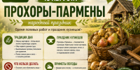 Роса, облака и урожай: погодные подсказки на Прохоров день - Bloknot-Voronezh.Ru