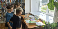 Книжная выставка «Зелёная аптека» - Киржачская ЦБС