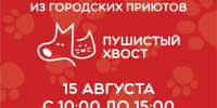 Ищете хвостатого друга? Приходите в Измайловский парк! - Префектура ЮАО Москвы
