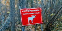 12 человек погибли при атаке ВСУ на Нижнекамск — еще 39 ранены - KrasnodarMedia