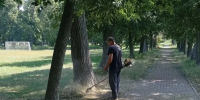 Коммунальные службы Белгородского округа усилили контроль за территориями - Сетевое издание Знамя 31