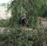 В Бузулуке продолжают устранять последствия урагана    - Администрация города
