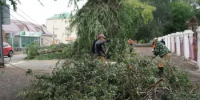 В Бузулуке продолжают устранять последствия урагана    - Администрация города