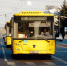 Крупнейший перевозчик Ярославля объявляет набор водителей - YarNews.Ru