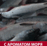 На Сахалине продолжают продавать горбушу по 144 рубля за килограмм - News.Astv.Ru