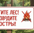 Памятка на выходные: что нельзя делать в лесу - Народное слово