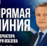 Прямая линия губернатора Иркутской области пройдет 18 августа. - Министерство цифрового развития и связи