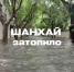 Фото: скриншот | Пассажиры рейса в Шанхай сидят в аэропорту Владивостока уже больше 12 часов - PrimPress.Ru