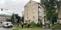 Ураган повалил 60 деревьев в Самарской области 9 августа - Комсомольская Правда Самара