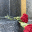 Память о легенде живёт - Администрация г. Ейска