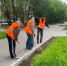 Первые всходы через несколько недель: на двух центральных улицах Мурманска появятся ухоженные зеленые газоны - Вечерний Мурманск