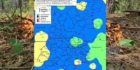 Сводка пожароопасности на 09.08.2026 - Министерство лесного хозяйства
