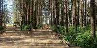 В поселке Вычегодский обустраивают парк «Белкин лес» - ИА Dvina29