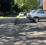 В 8-ом микрорайоне приемка работ по асфальтированию междворового проезда - Газета Советское Причулымье