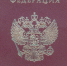 В МВД назвали обязательные отметки в паспорте гражданина России - НИА Самара