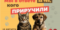Всемирный день защиты бездомных животных - Библиотеки Миасса
