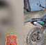 В Дубенском районе полиция раскрыла кражу мотоцикла из гаража - ИА Тульская служба новостей