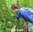 В Тульских лесах проводят перепись «населения» - ТК Первый Тульский
