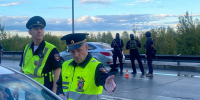 photo - ОМЕДИА!