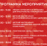 15 августа в Измайловском парке пройдёт выставка с пристройством животных из городских приютов «Пушистый хвост» - Район Беговой