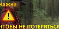 Как подготовиться к выходу в лес? Как вести себя, чтобы не заблудиться?. - Северо-Енисейский муниципальный округ