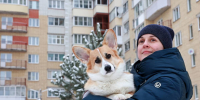 Вологжанам рассказали о процедуре оспаривания решений общих собраний собственников - Правительство Вологодской области