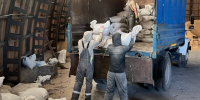 Школьники и студенты помогают совхозу «Ведлозерский» в заготовке кормов - StolicaOnego.Ru