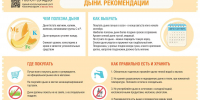 Дыня: как выбрать качественную и безопасную, можно ли пробовать перед покупкой - Роспотребнадзор МО