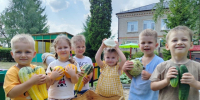Юные агрономы: расцветает огород в МБДОУ – детский сад присмотра и оздоровления № 32 «Сказка»!. - Администрация г. Клинцы