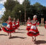 День Красносельского лося! - KrasnoeNews.Ru