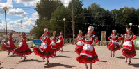 День Красносельского лося! - KrasnoeNews.Ru
