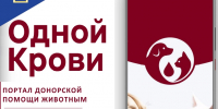 Спасение жизней в один клик: заработал портал донорской помощи животным «Одной Крови» - Комитет ветеринарии