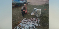 Браконьер в Волгоградской области попался с незаконным уловом на 26 кг рыбы - Volganet.Net