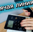 ГОРЯЧАЯ ЛИНИЯ  по вопросам качества и безопасности детских товаров и школьных принадлежностей     с 10 по 21 августа 2026 г. - Купинский район