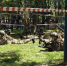 Калужане показали высокие результаты на окружном этапе «Зарницы 2.0» - Комсомольская Правда