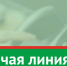 «Горячая линия»  по вопросам качества и безопасности детских товаров и школьных принадлежностей - Тетюшский район