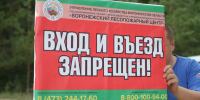 В Воронежской области введут запрет на посещение лесов до сентября - ГТРК Воронеж