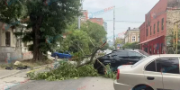 В Ростове-на-Дону огромная ветка упала на дорогостоящую иномарку - DonDay.Ru