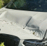 На трассе в Карелии автомобиль BMW съехал в кювет во время ливня - StolicaOnego.Ru