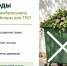 Крымчанам напомнили о запрете выброса веток и травы в мусорные контейнеры - Комсомольская правда